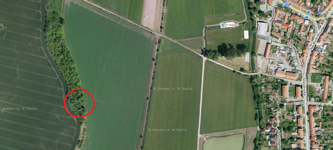 Odstraňování náletových dřevin